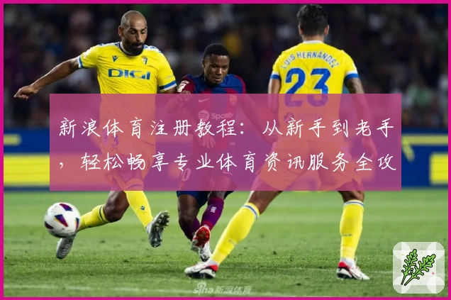 新浪体育注册教程：从新手到老手，轻松畅享专业体育资讯服务全攻略