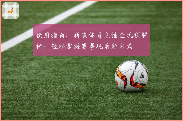 使用指南：新浪体育点播全流程解析，轻松掌握赛事观看新方式