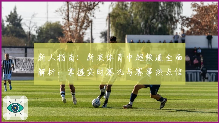新人指南：新浪体育中超频道全面解析，掌握实时赛况与赛事热点信息