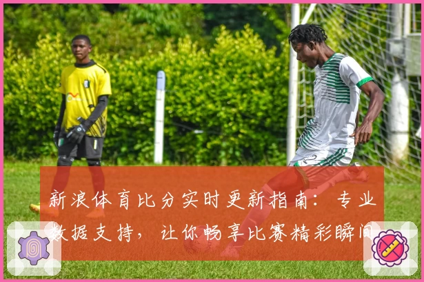 新浪体育比分实时更新指南：专业数据支持，让你畅享比赛精彩瞬间