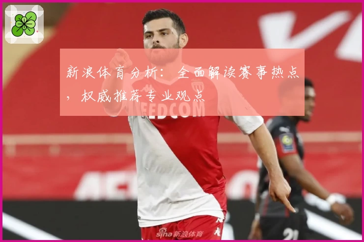 新浪体育分析:全面解读赛事热点,权威推荐专业观点