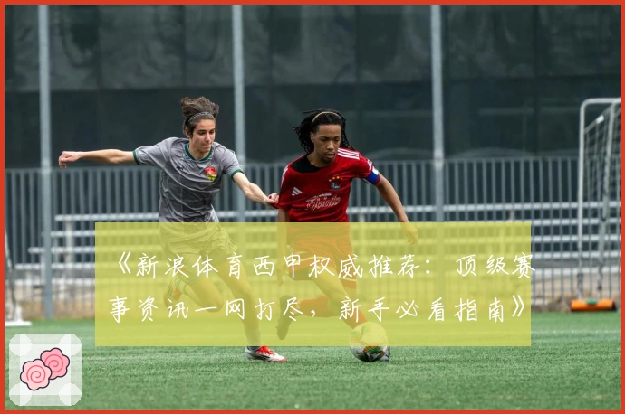 《新浪体育西甲权威推荐:顶级赛事资讯一网打尽,新手必看指南》