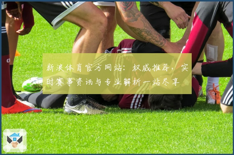 新浪体育官方网站：权威推荐，实时赛事资讯与专业解析一站尽享