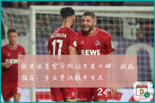 新浪体育官方网站年度口碑：权威推荐，专业资讯触手可及